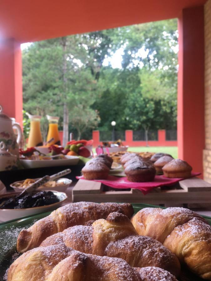Il Casaletto Bed & Breakfast Osimo Eksteriør bilde